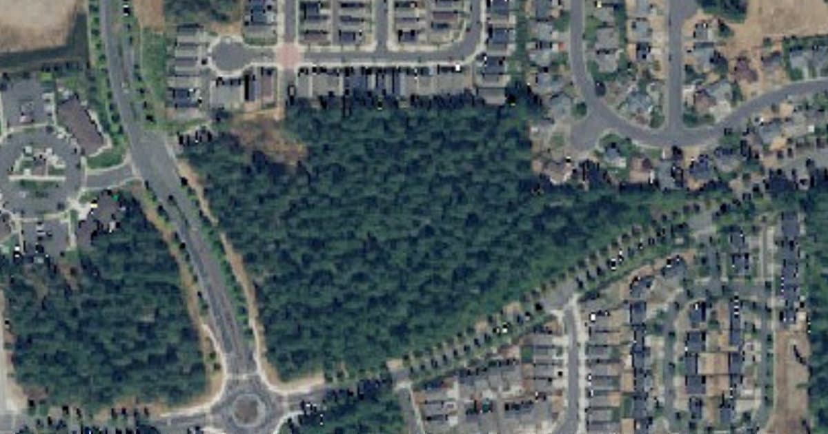 Lacey Dog Park dog park in Lacey, WA