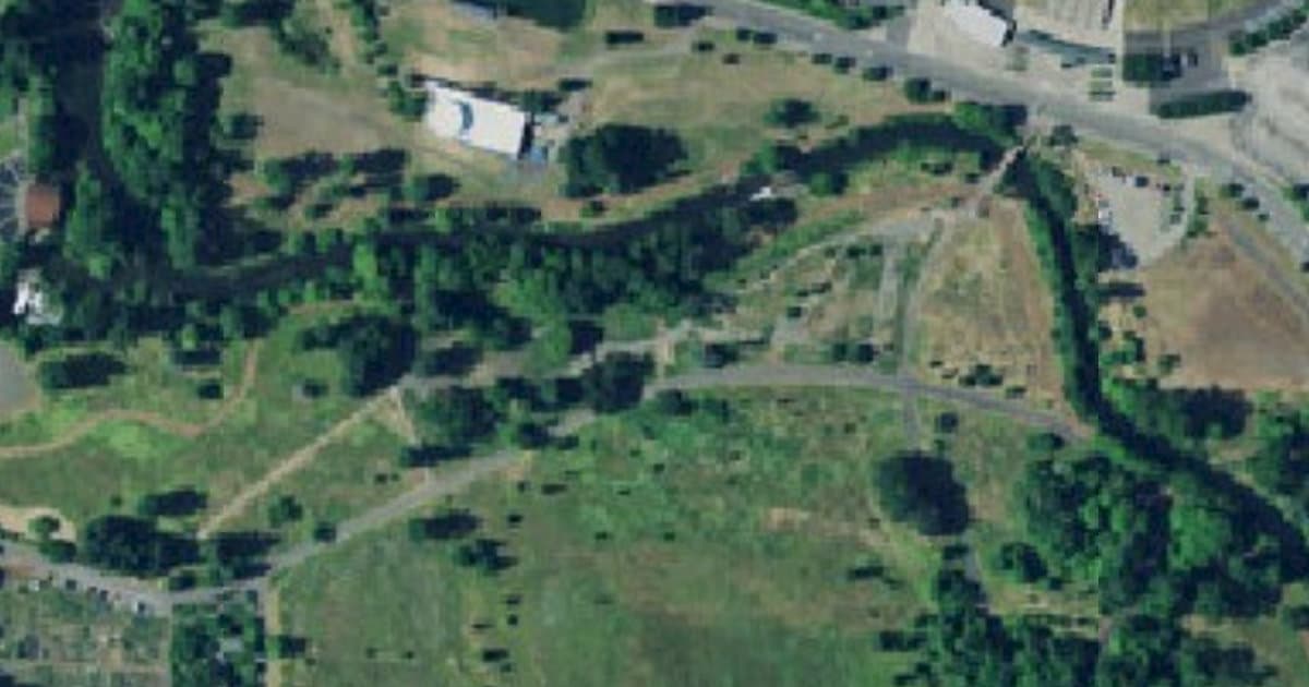 Alton Baker Park Dog Park dog park in Eugene, OR — photo 4