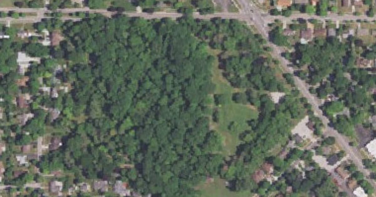 Barstow Woods dog park in Midland, MI