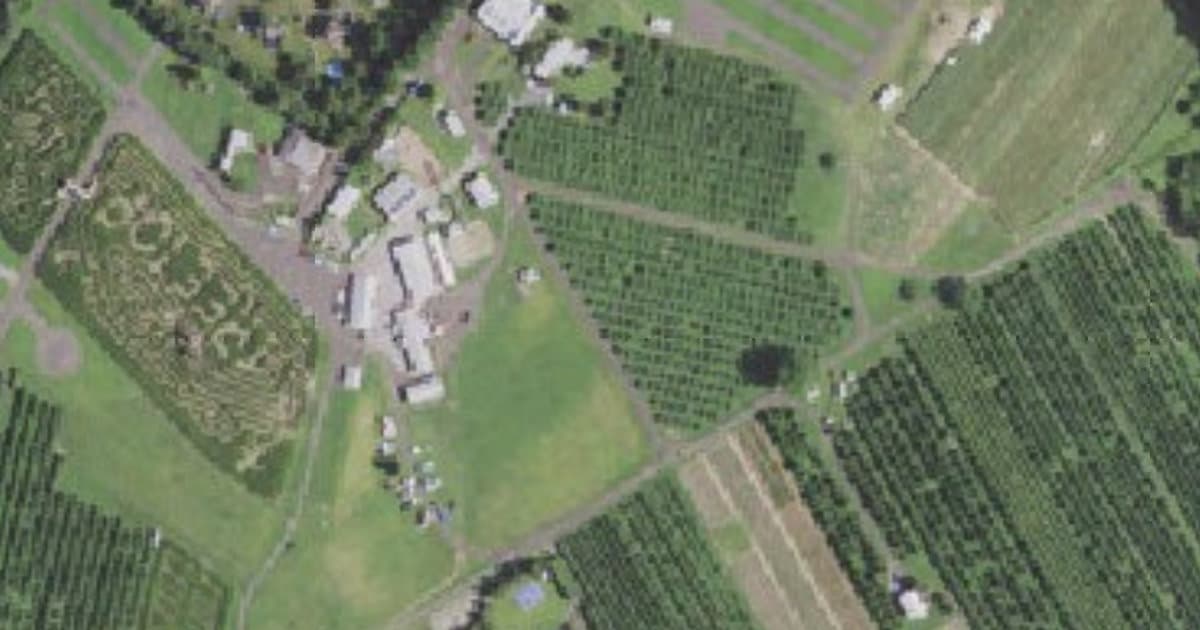 Barton Orchards dog park in Poughquag, NY