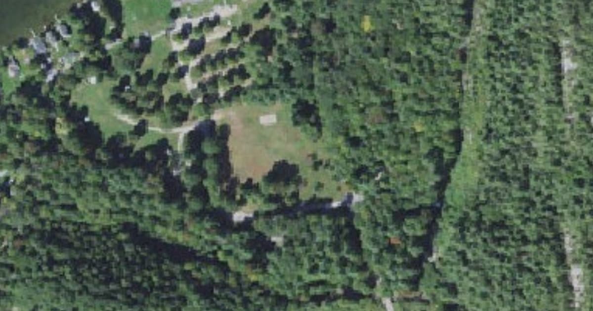 Branbury State Park dog park in Salisbury, VT