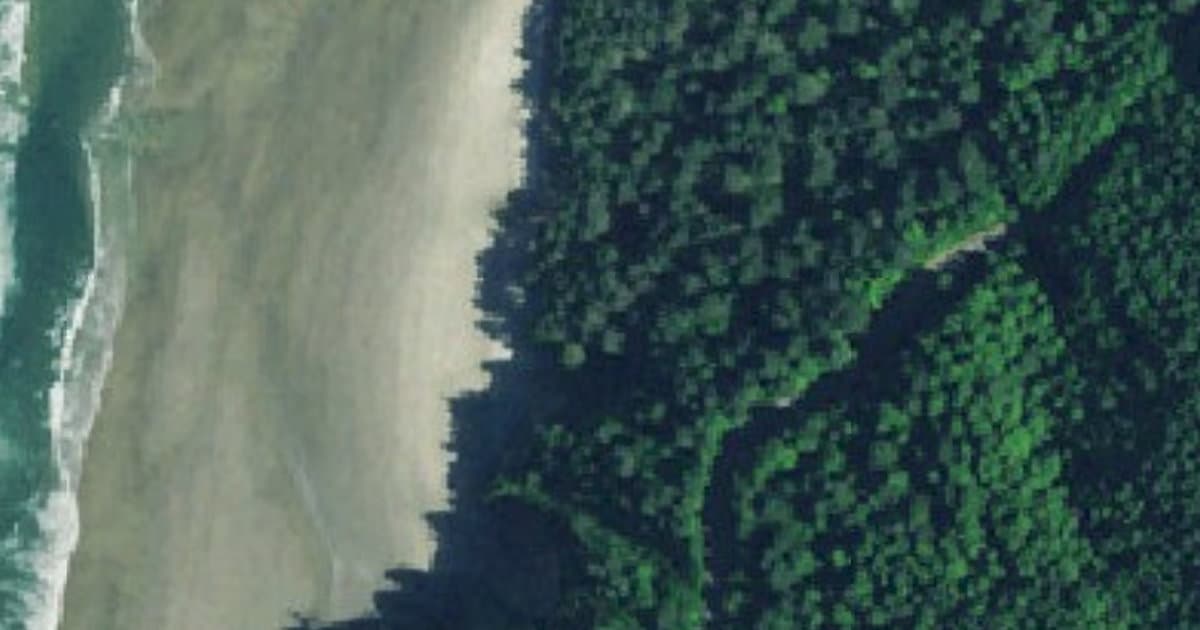 Cape Lookout State Park dog park in Tillamook, OR — photo 2