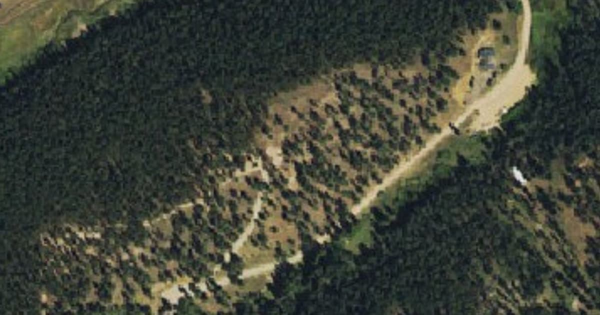 Conifer Community Bark Park dog park in Conifer, CO
