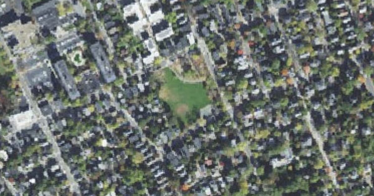 Corcoran Field at Raymond Park dog park in Cambridge, MA