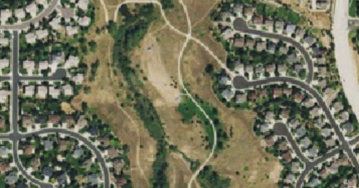 Digger's at Dad Clark Park dog park in Highlands Ranch, CO