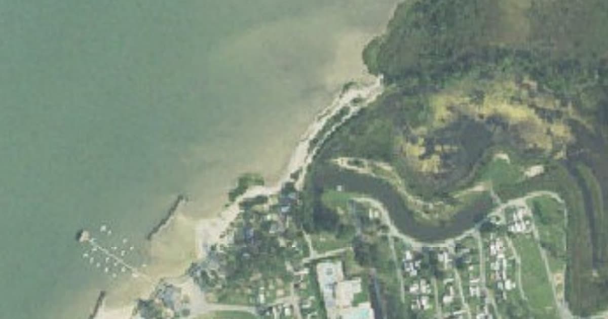 Dog Beach dog park in Cape Charles, VA
