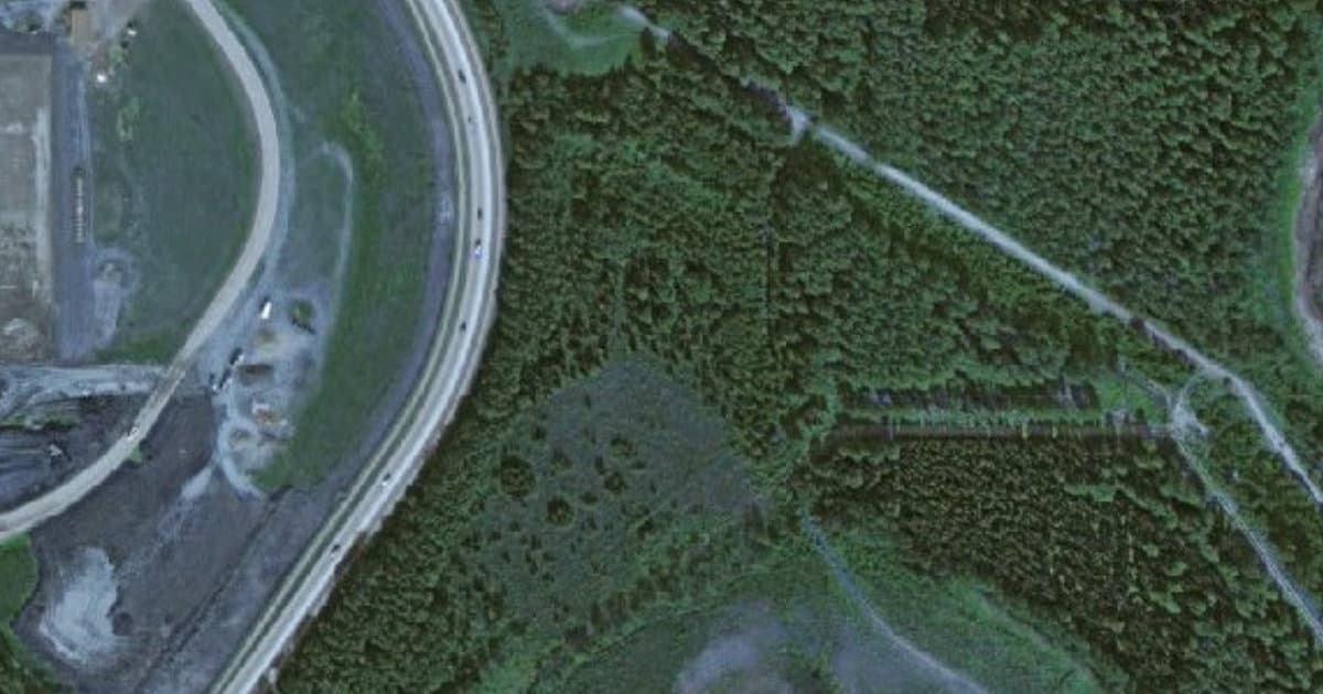 Dog Park at Connor's Bog dog park in Anchorage, AK