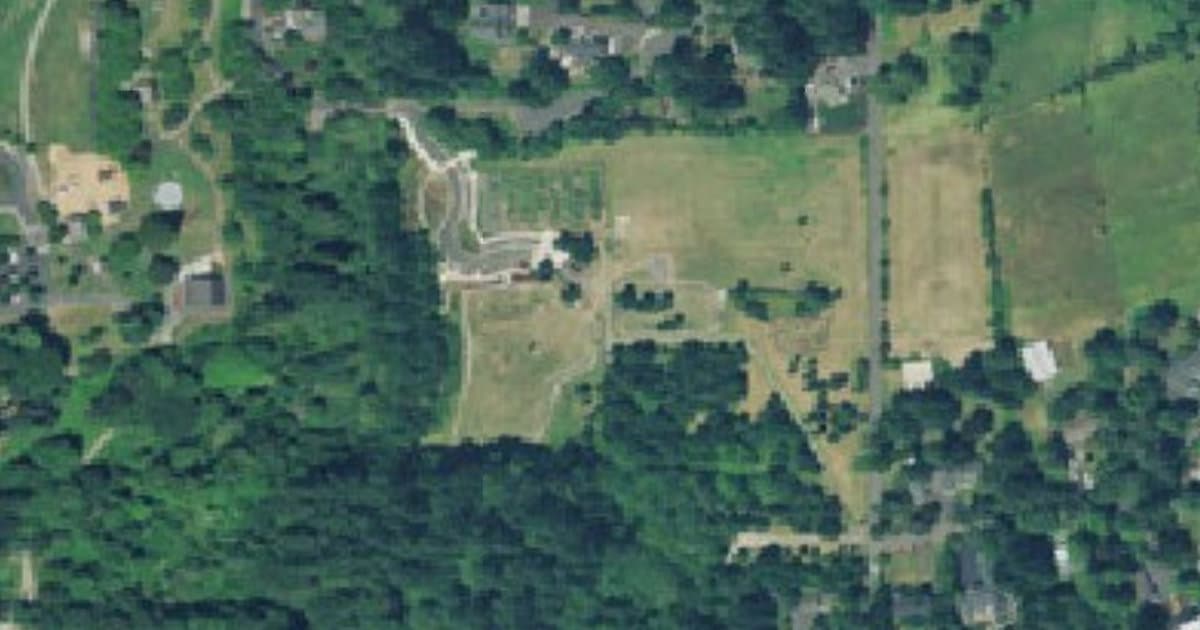 Dog Park at Memorial Park dog park in Wilsonville, OR
