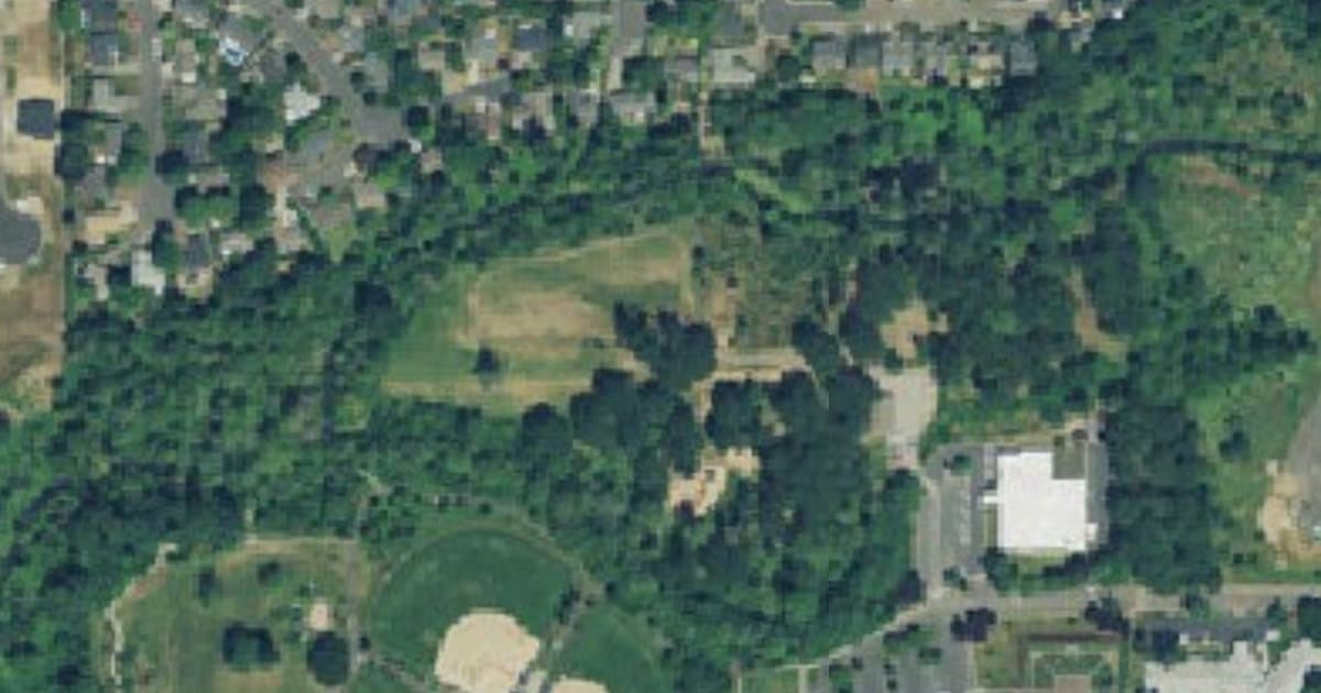 Dog Park at North Clackamas Park dog park in Milwaukie, OR