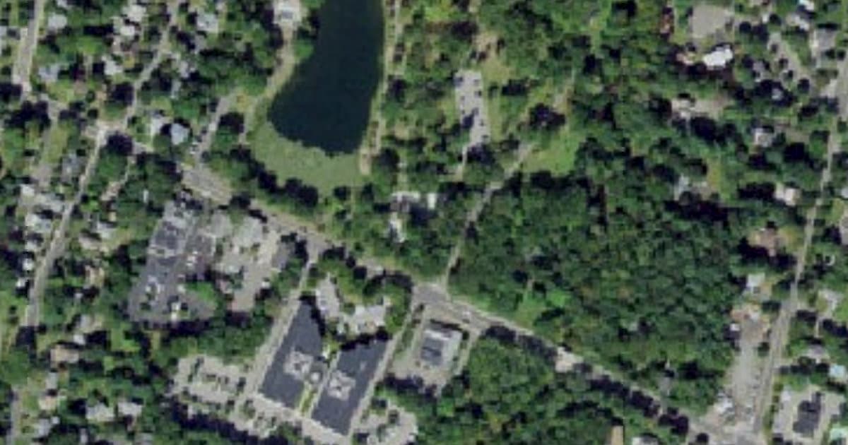 Dog Park at Saddle River County Park dog park in Ridgewood, NJ
