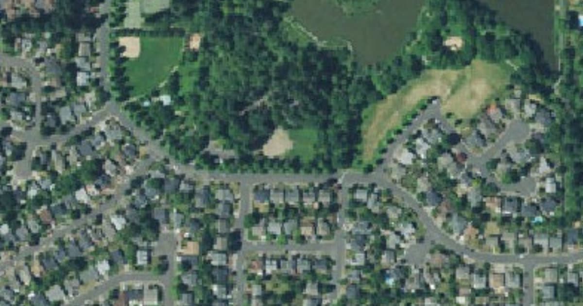Dog Park at Summerlake Park dog park in Tigard, OR