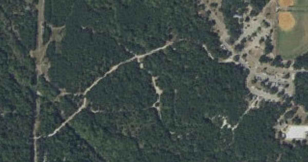 Dog Park at Walnut Creek Metro Park dog park in Austin, TX