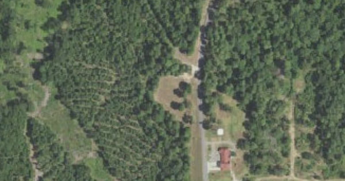 Bossier City Dog Park dog park in Bossier City, LA