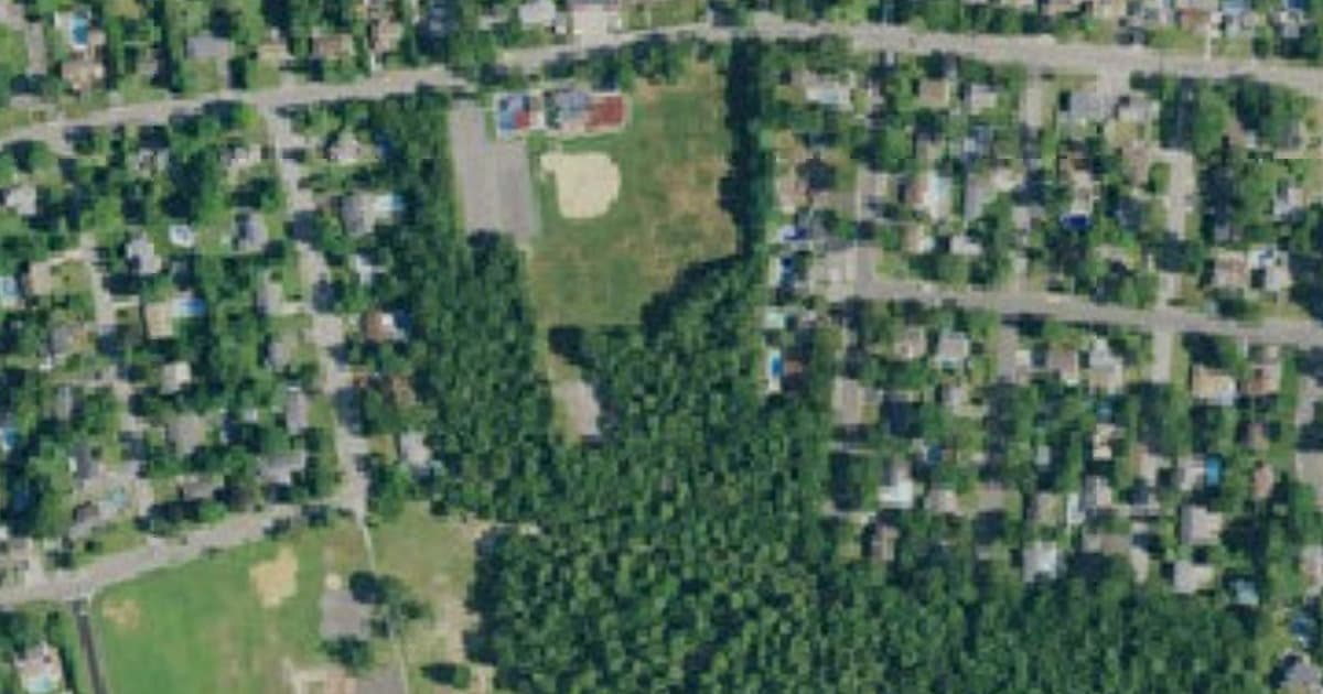 Toms River Dog Park dog park in Toms River, NJ