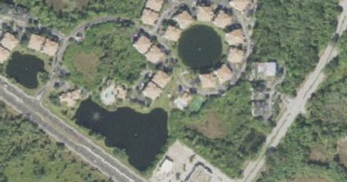 Town "n" Country Dog Park dog park in Town "n" Country, FL