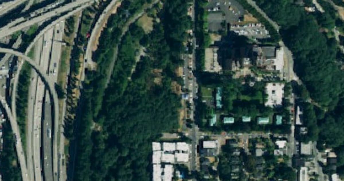 Dr. Jose Rizal Park Off-Leash Area dog park in Seattle village, WA