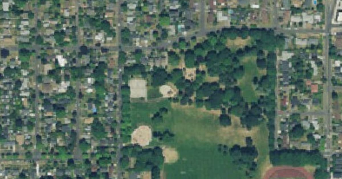 Fernhill Park dog park in Portland, OR