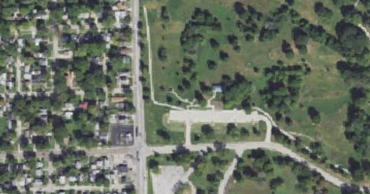 Fido Fields