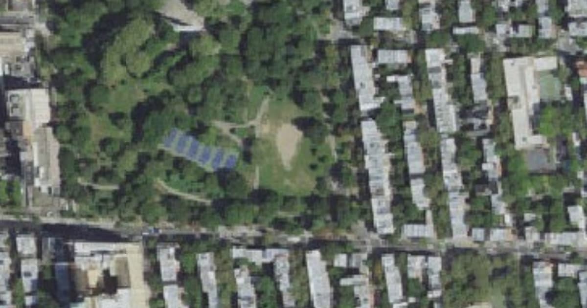 Fort Greene Park dog park in New York, NY