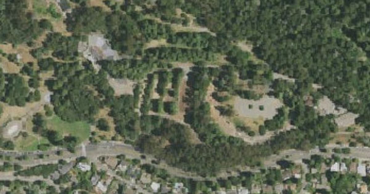 Joaquin Miller Large Dog Park dog park in Oakland, CA