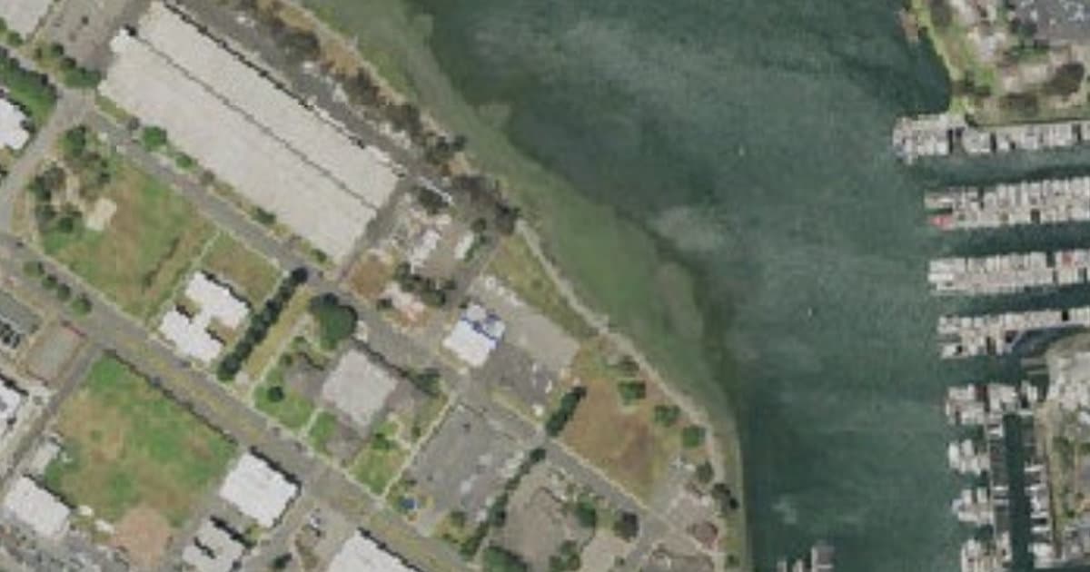 K-9 Training Area dog park in Alameda, CA