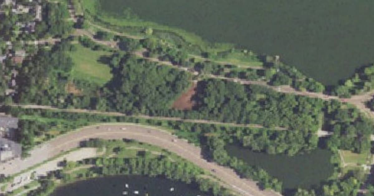 Lake of the Isles Off-Leash Dog Park dog park in Minneapolis, MN — photo 2