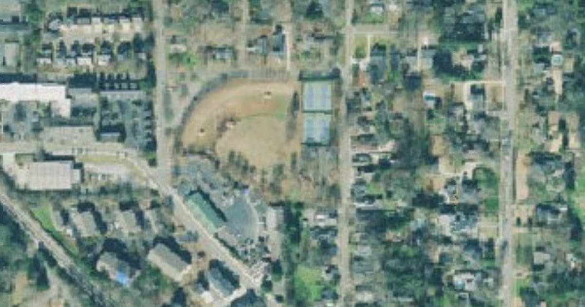 Lewis Park Dog Park dog park in Marietta, GA
