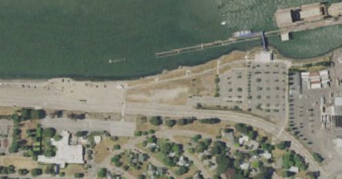 Main Street Dog Park dog park in Alameda, CA