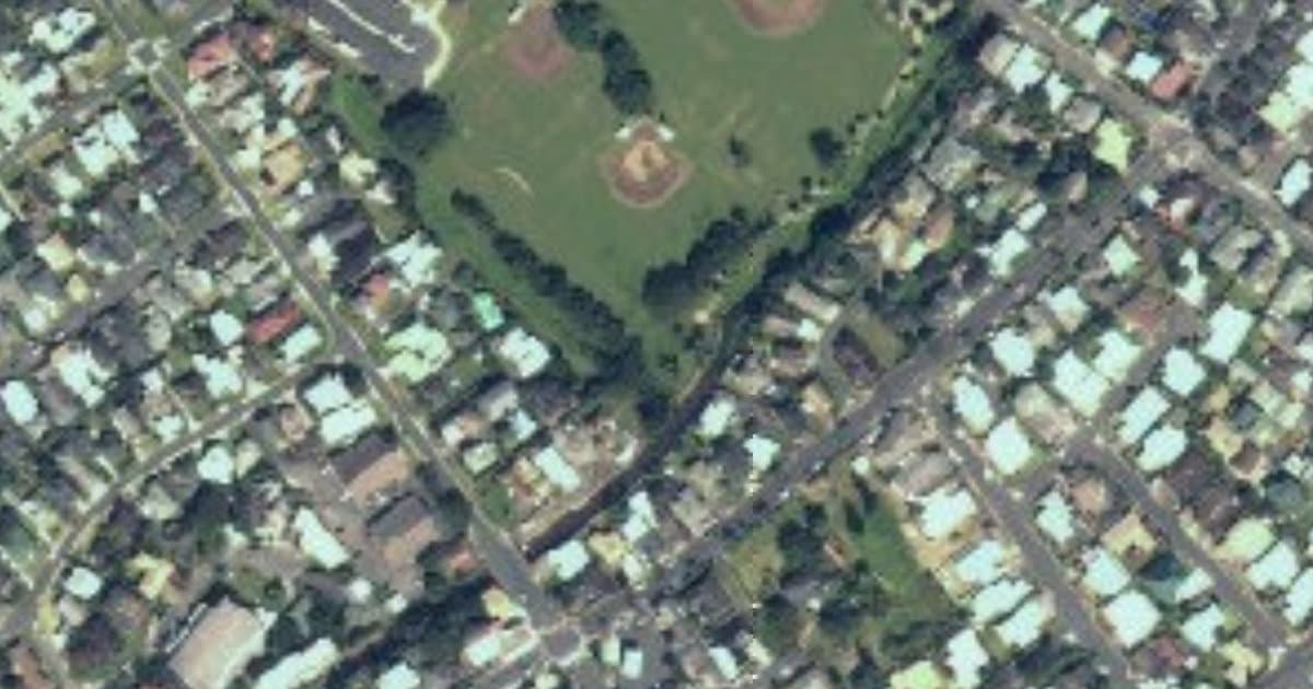 Manoa Valley District Park Dog Park dog park in East Honolulu, HI