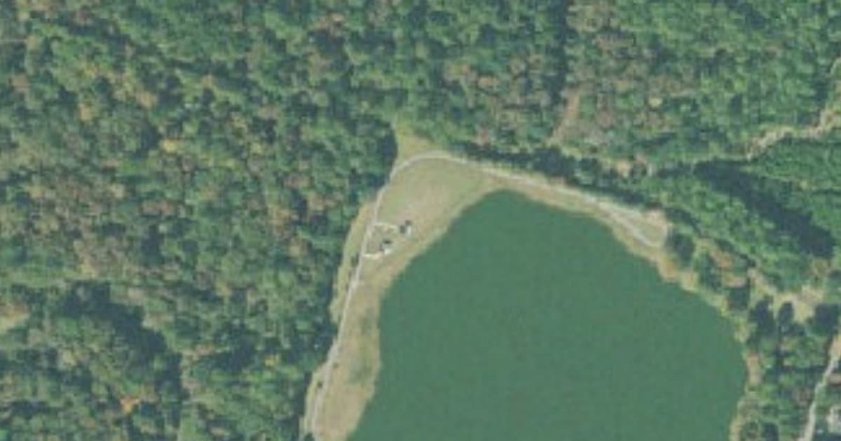Mohawk Lake Dogpark dog park in Savannah, GA