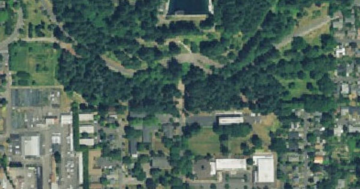 Mt. Tabor Park dog park in Portland, OR