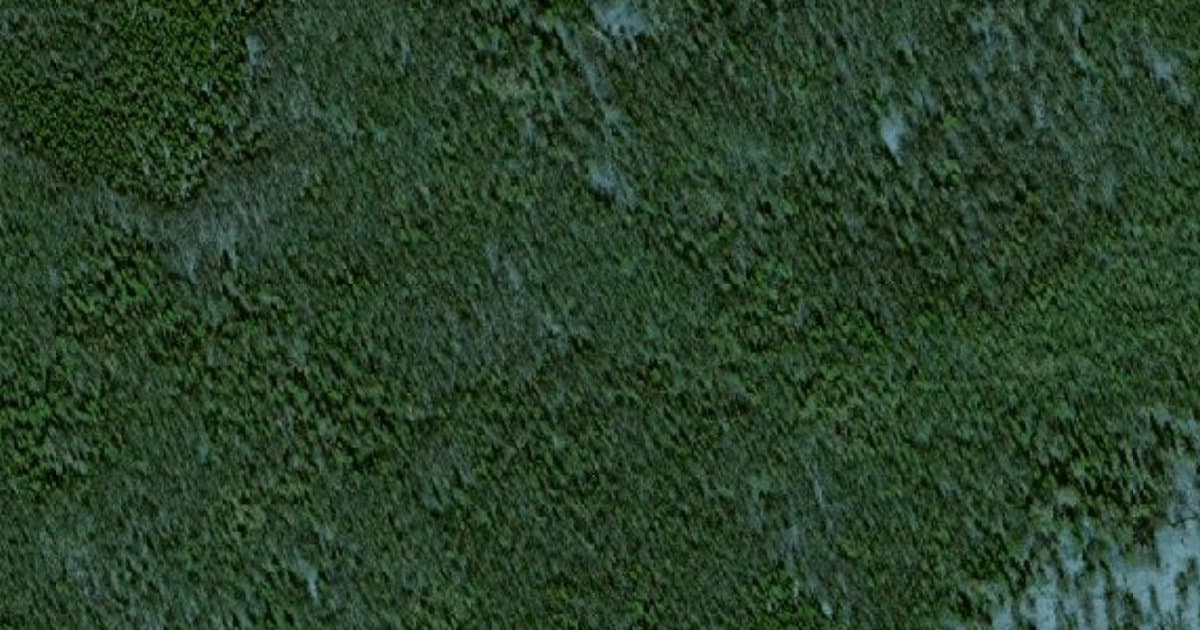 North Gasline Dog Trail dog park in Anchorage, AK