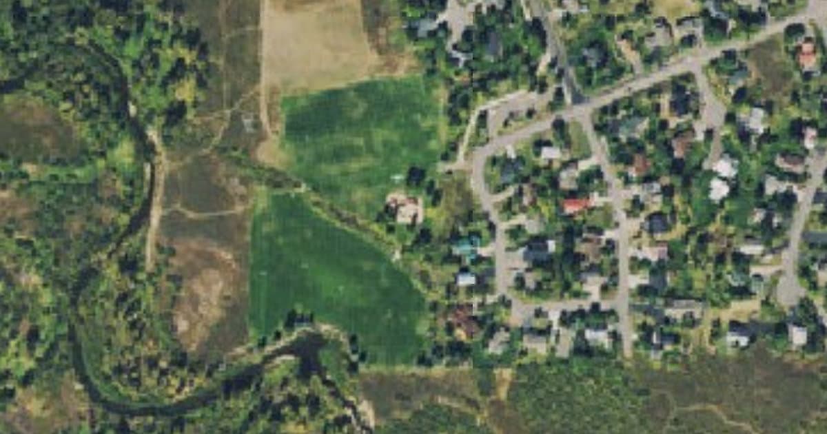 Off-leash Areas at Whistler Park