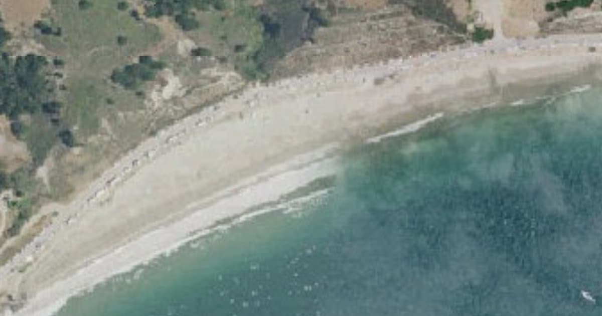 Olde Port Beach dog park in Avila Beach, CA