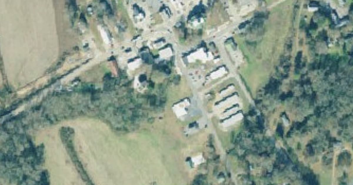 Paws & Play Dog Park dog park in Carnesville, GA