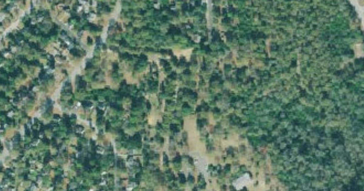 Pendleton King Park Bark Park dog park in Augusta, GA