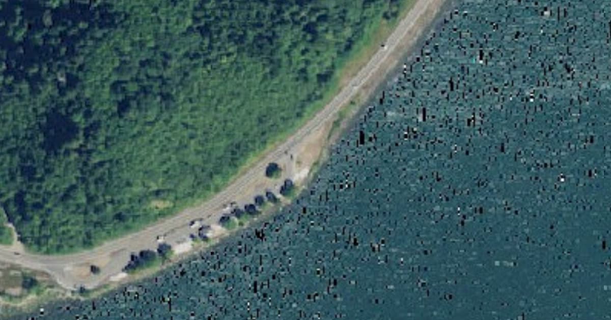 Pet Area dog park in Megler, WA