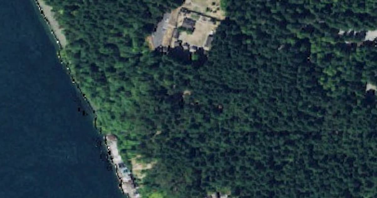 Point Defiance Park Off-Leash Area dog park in Tacoma, WA