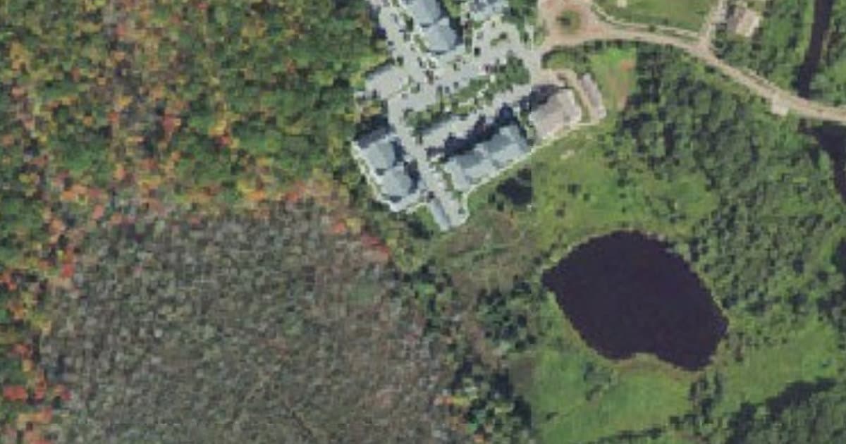 Pond Pet Park dog park in Hopkinton, MA