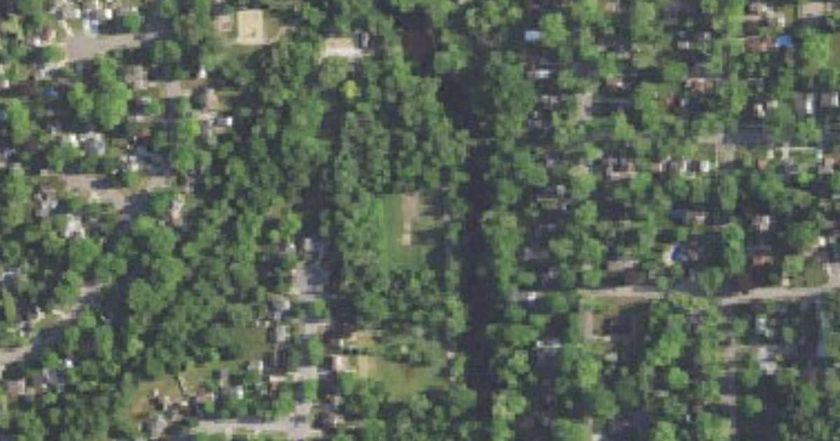 Rockford Dog Park dog park in Rockford, MI