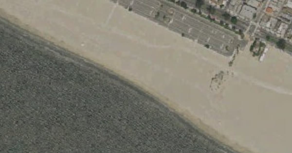 Rosie's Dog Beach dog park in Long Beach, CA — photo 3