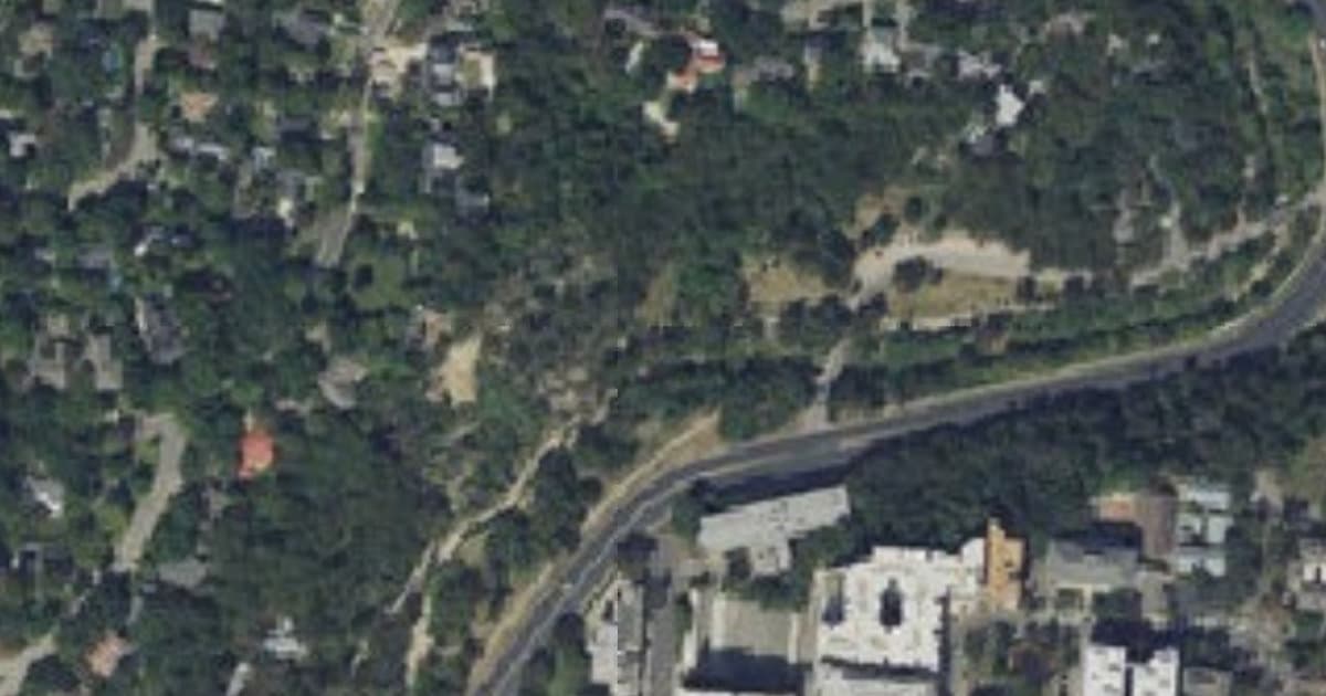 Shoal Creek Greenbelt dog park in Austin, TX