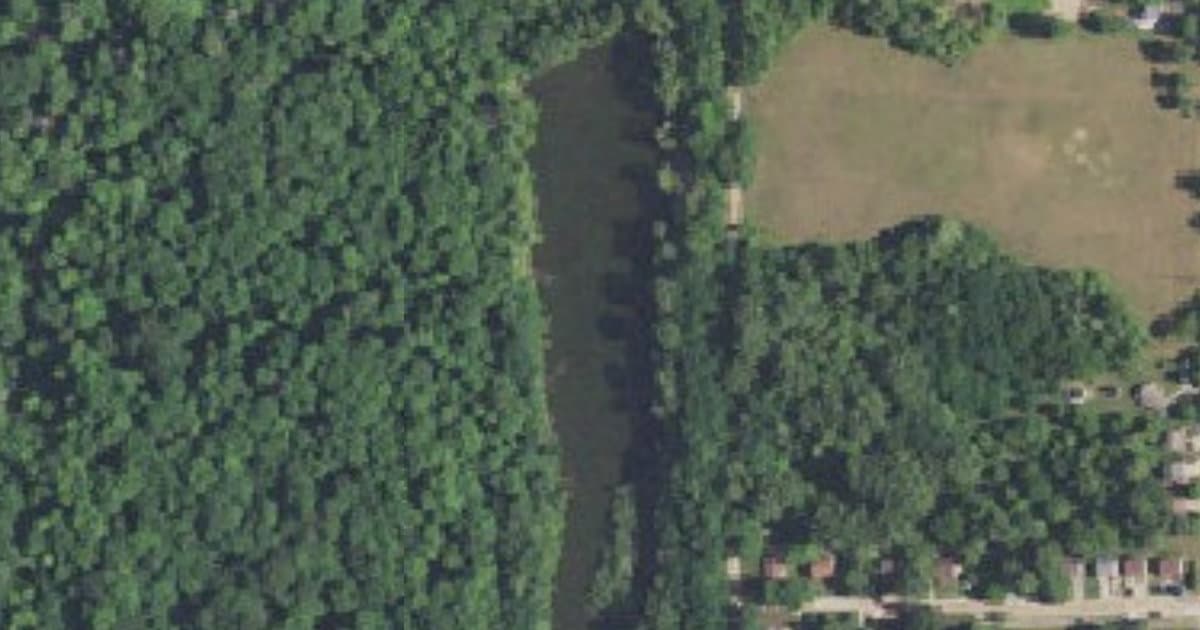 Soldan's Dog Park dog park in Lansing, MI