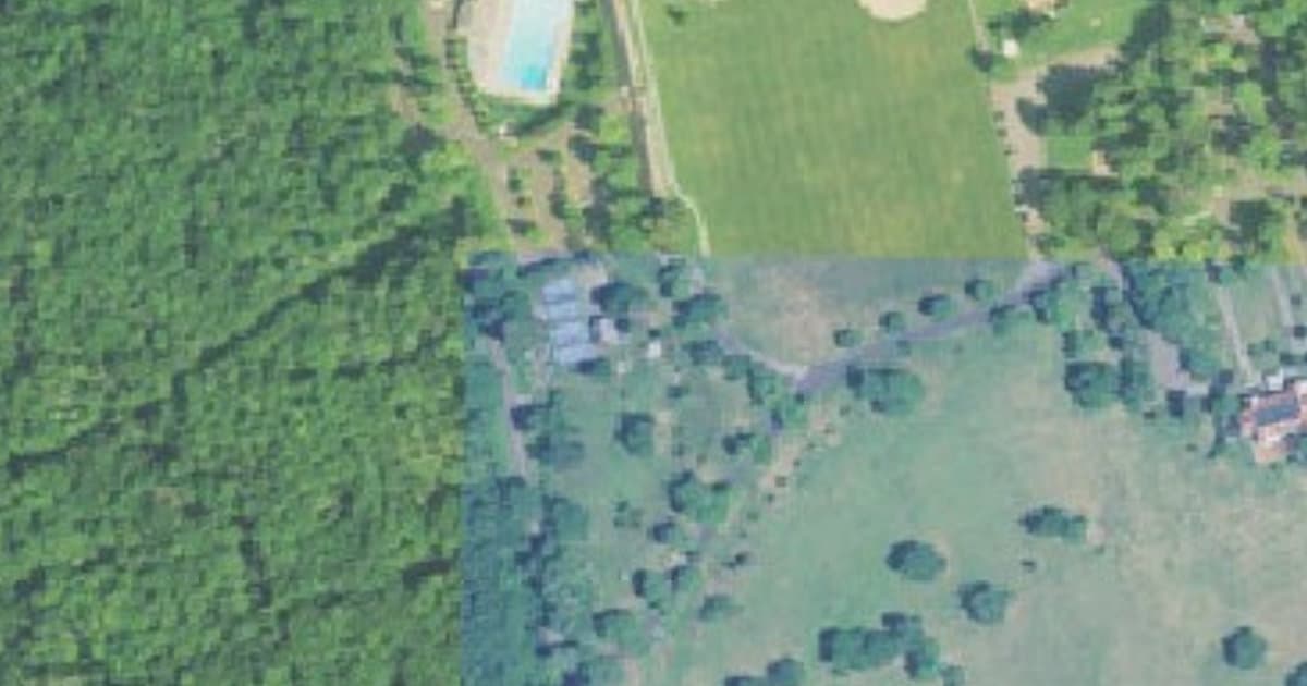 Spencer's Run Dog Park at Waveny Park dog park in New Canaan, CT