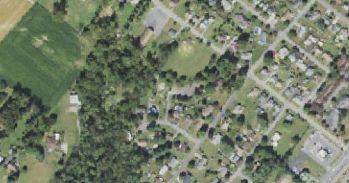 Stark Dog Park dog park in Shamokin Dam, PA