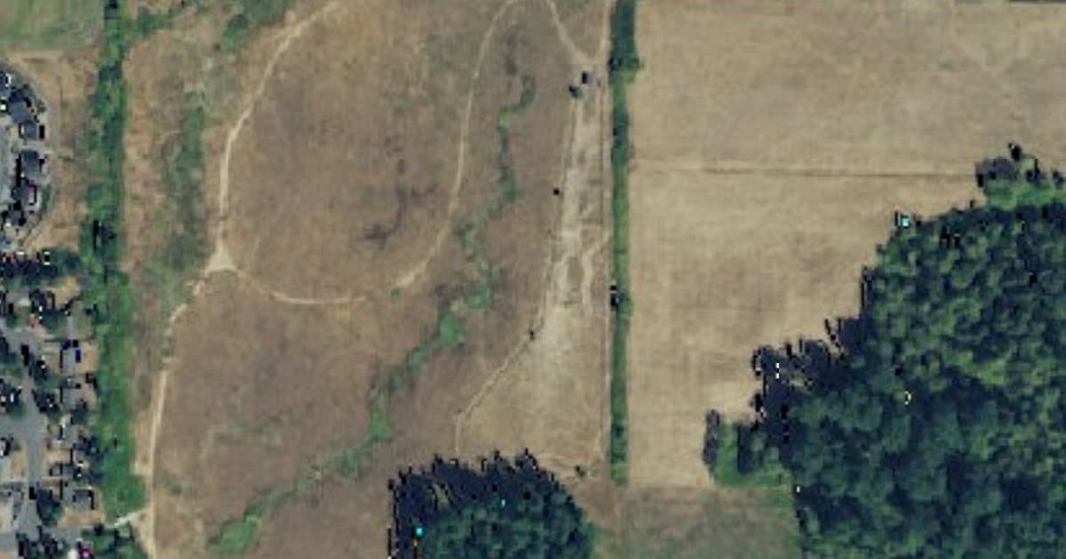 Strawberry Fields for Rover dog park in Marysville, WA — photo 3