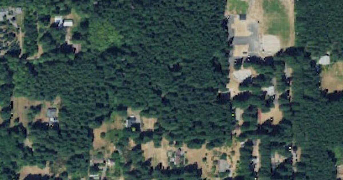 Strawberry Hill Dog Park dog park in Bainbridge Island, WA