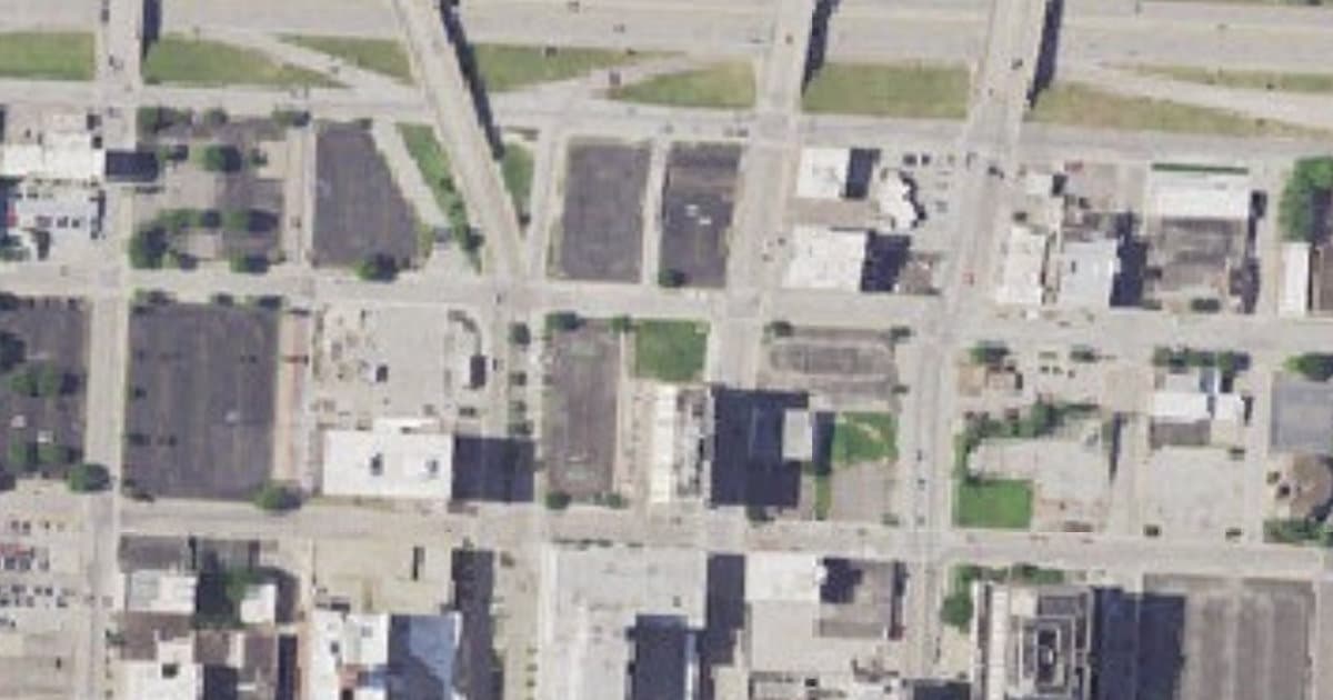 The Barking Lot