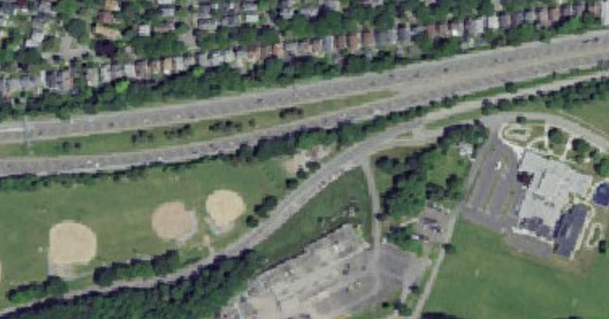 The Dog Park at Cobbs Hill dog park in Rochester, NY