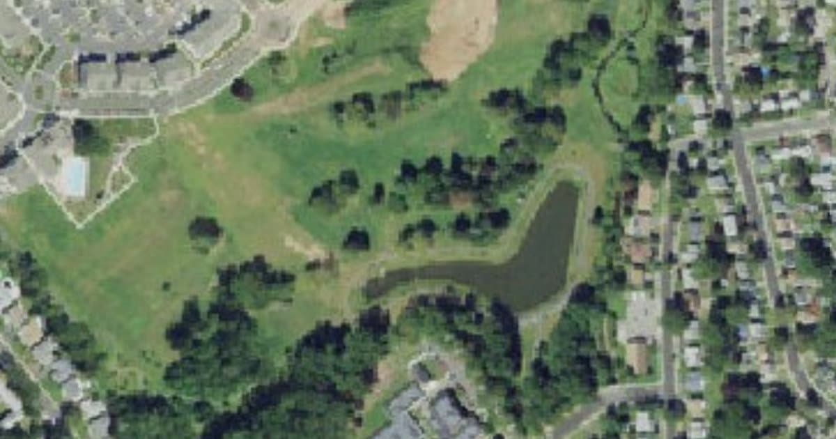 The Park: Dog Park II dog park in Roselle, NJ